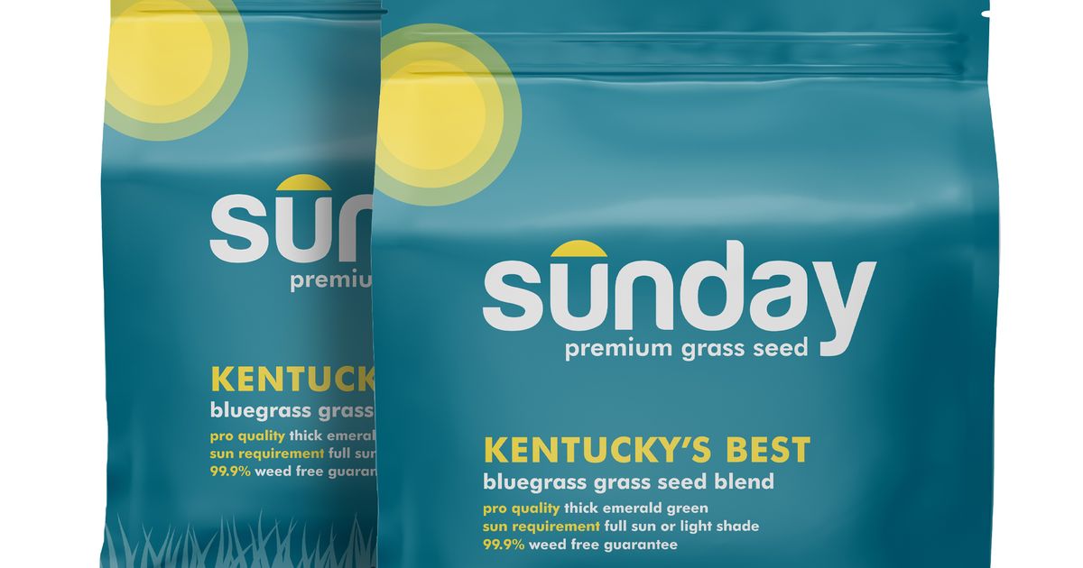 Kentucky's Best Grass Seed (2pack) Sunday Lawn Care