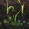Soil with symbols for elements including phosphorus