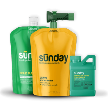 Spring Kickstart Kit