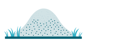 Sunday Fire Ant Fighter