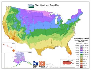plant hardiness zones map