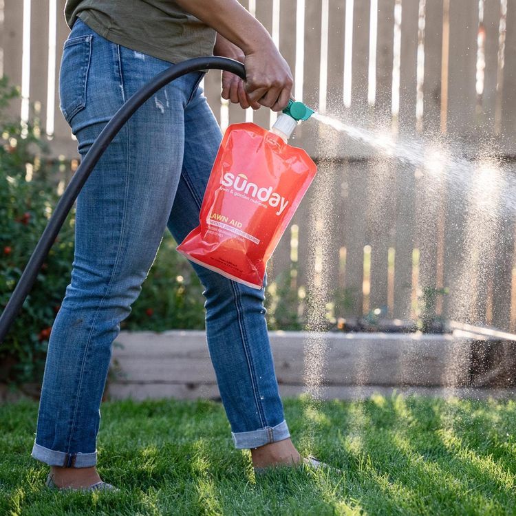 Applying Lawn Aid Stress Treatment