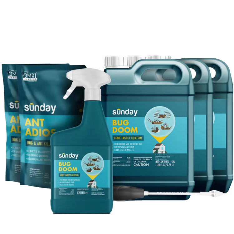 Bug Doom Insect Control Indoor & Outdoor