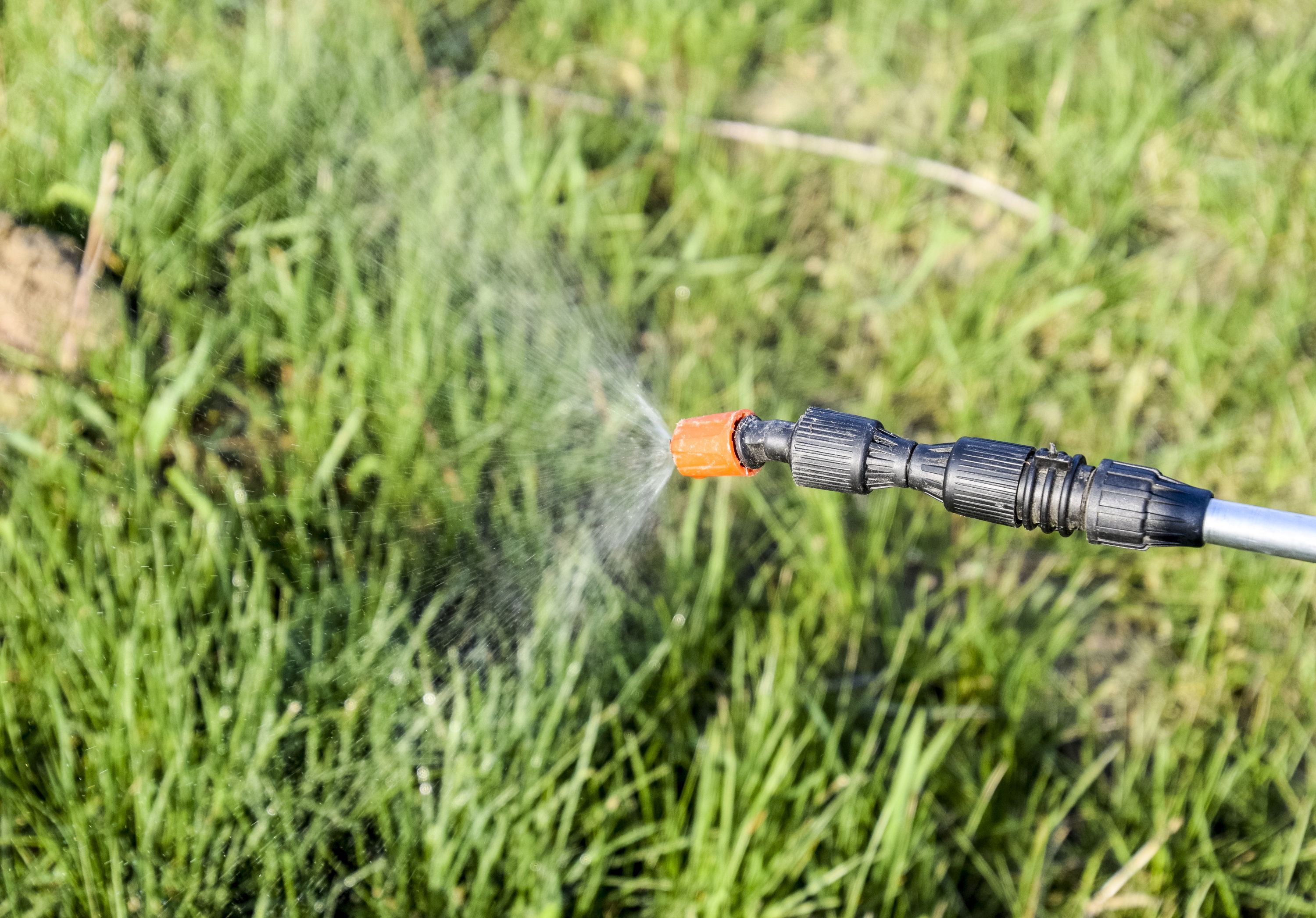spraying pesticide applications to lawn