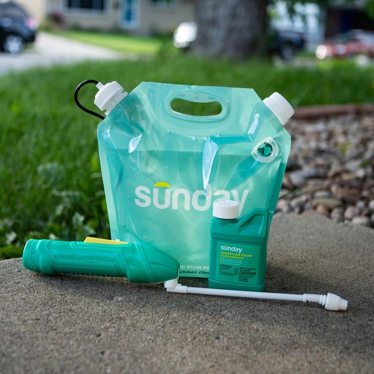 Dandelion Doom Herbicide Concentrate Pouch and Sprayer