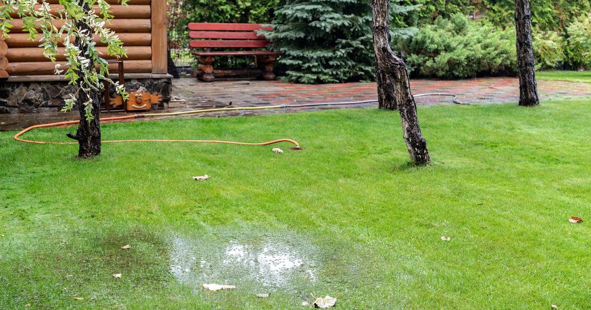 How to Fix Yard Flooding Sunday Lawn Care