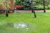 An overwatered lawn