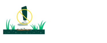 Do not step on Sunday Bare Repair