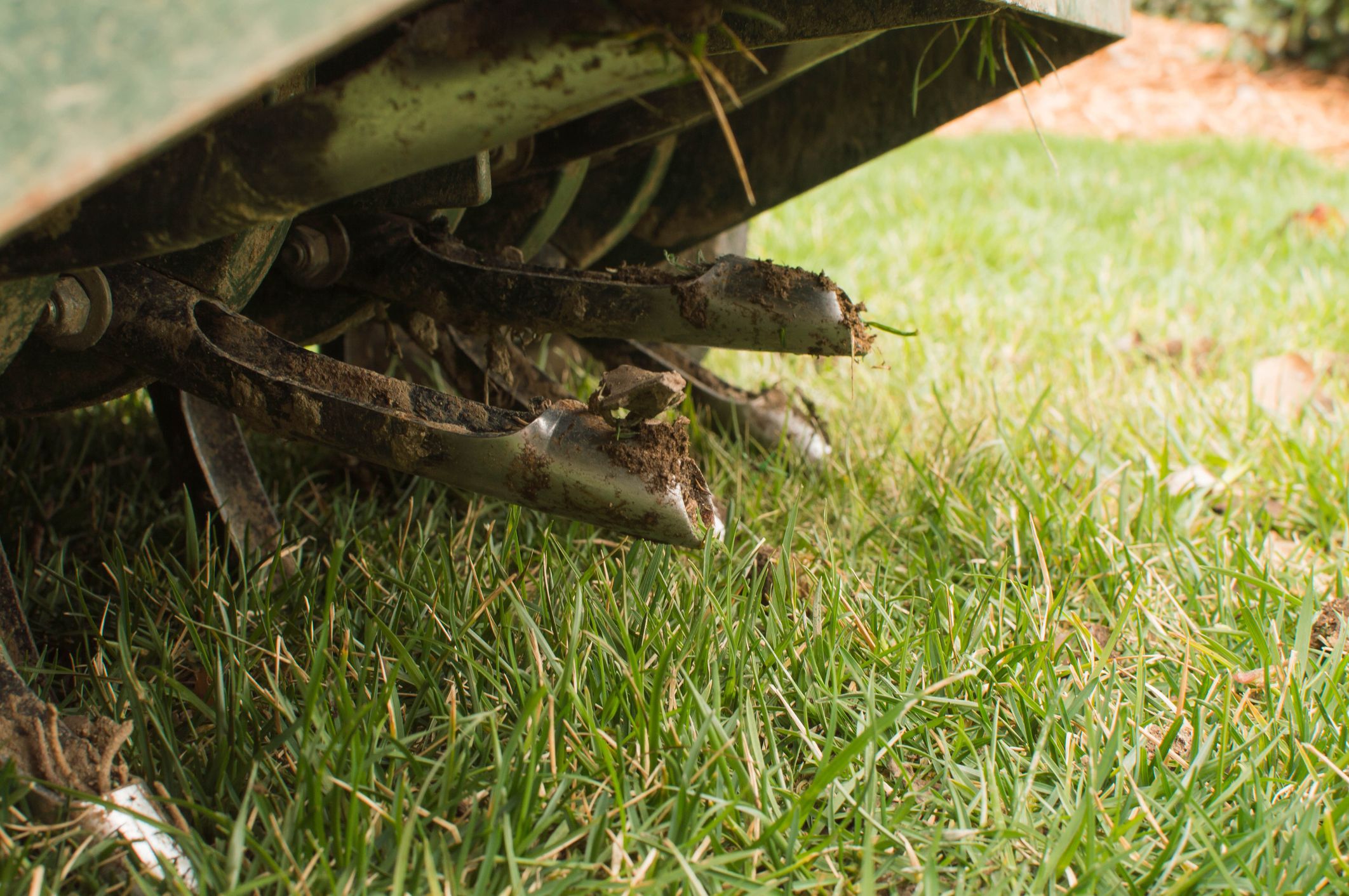 A close-up image of an aeration machine as it aerates a lawn. 