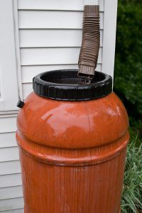 Rain barrel in backyard