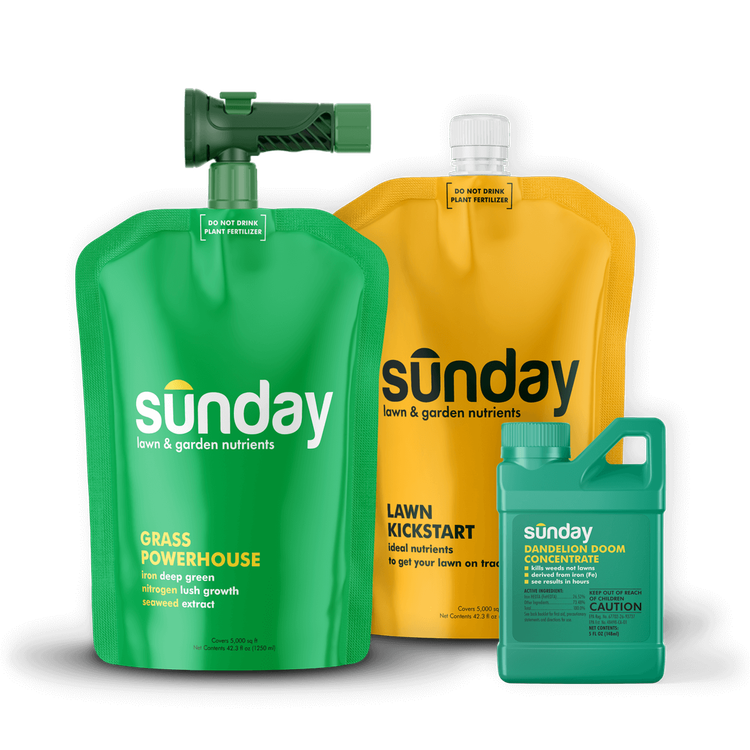 Spring lawn fertilizer and weed control | Sunday Lawn Care