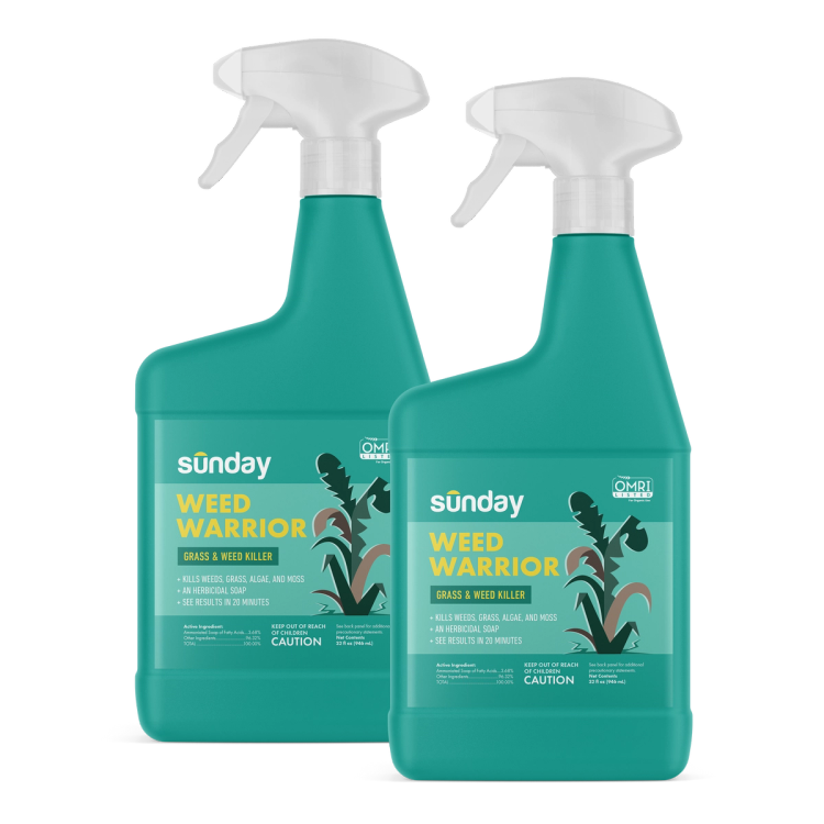 Weed Warrior ready-to-use weed control spray bottles
