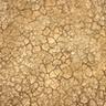 Dry cracked earth from drought