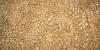 Dry cracked earth from drought