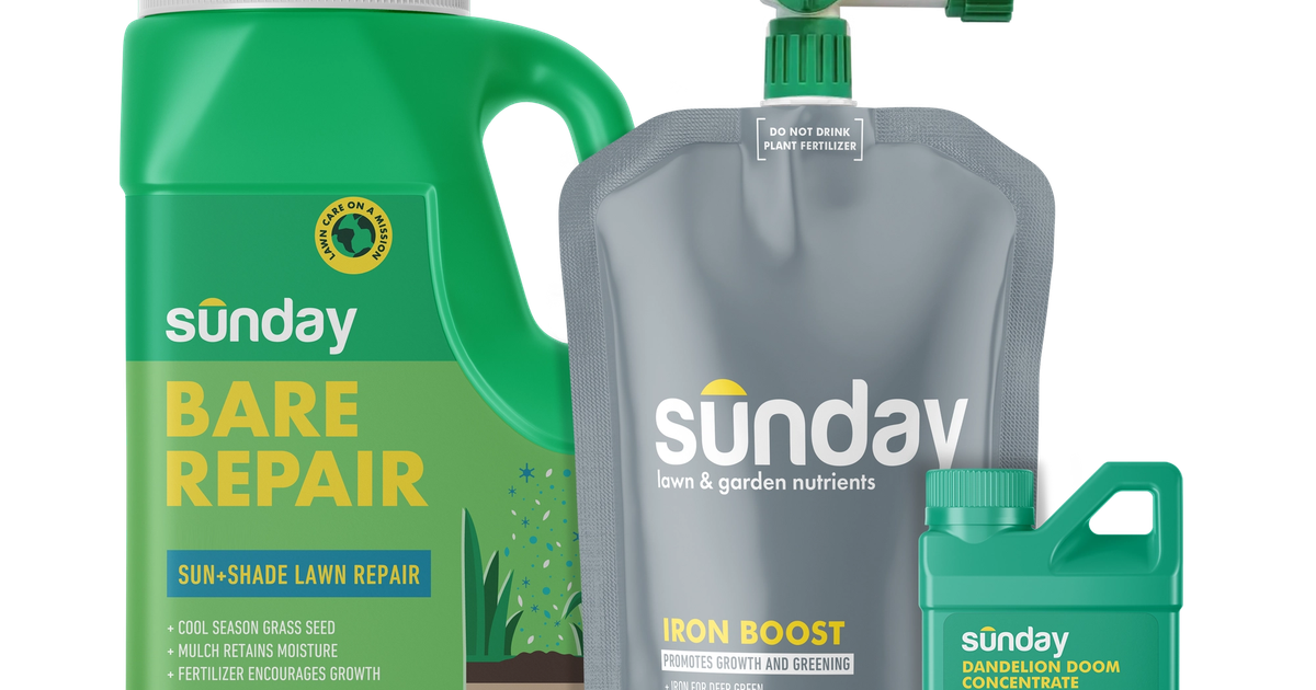 Fall Fescue Grass Lawn Fix Kit Sunday Lawn Care