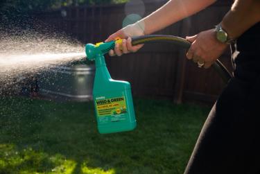 Woman applying Weed & Green Pre-emergent to lawn