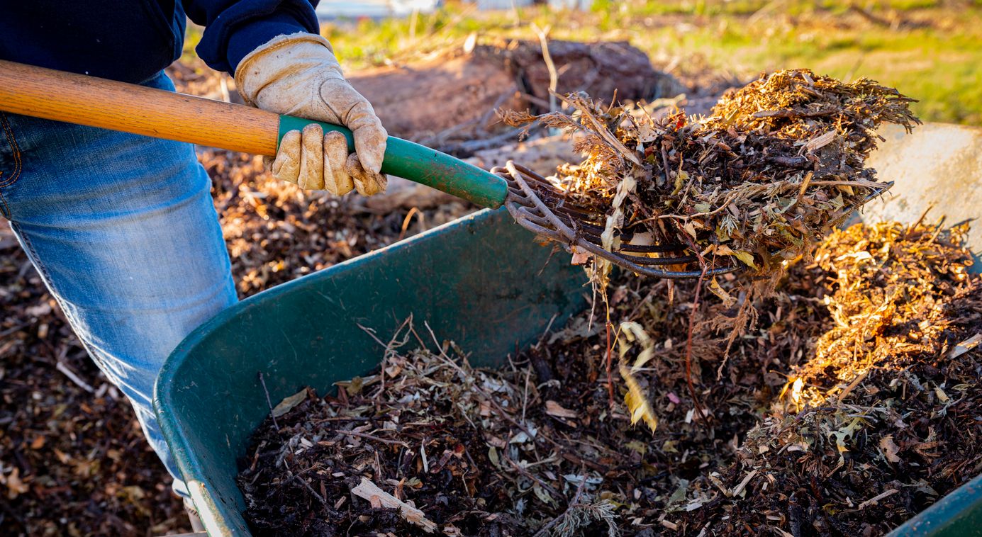 Using a pitchfork to add wood chips to a garden
