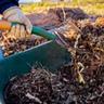 Using a pitchfork to add wood chips to a garden