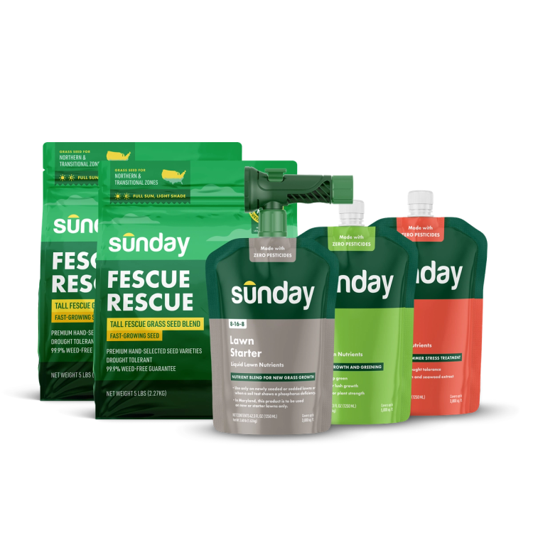 Start Your Lawn from Scratch Kit includes: Fescue Rescue Grass Seed, Lawn Starter, Lawn Kickstart, Lawn Aid, and NEW Replacement Sprayer