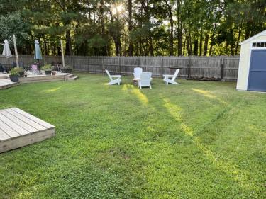 Beautiful green lawn with some clover in picturesque backyard