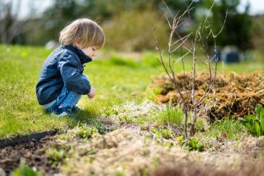 Little boy in backyard in spring