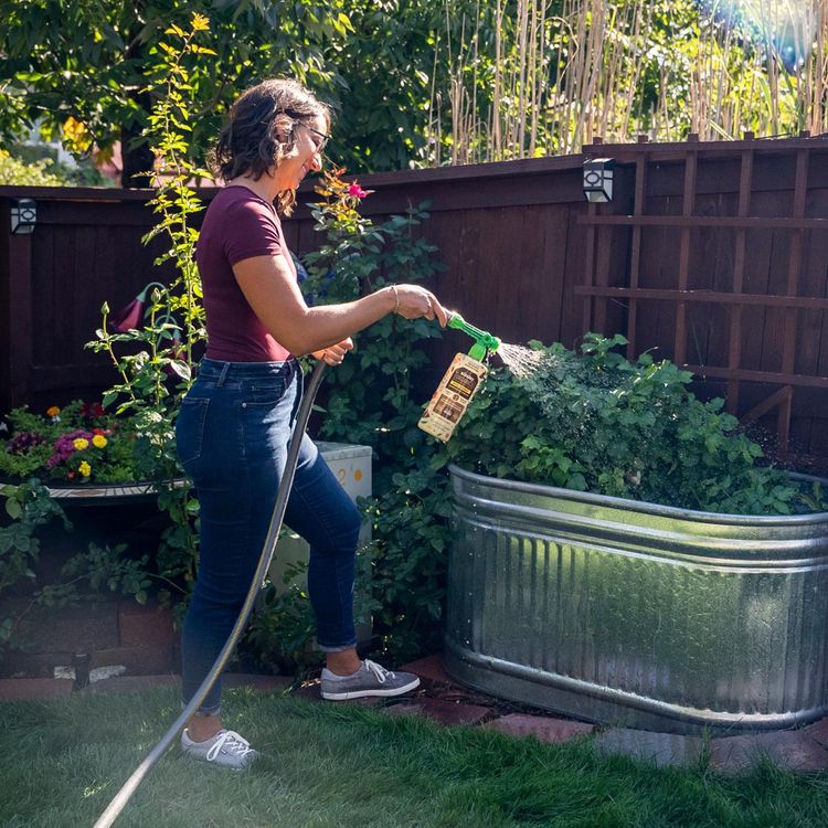 Applying Sunday Organics Soil Boost with Hose End Sprayer
