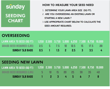 Sunday Seeding Chart