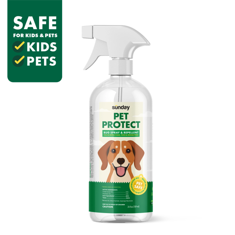 Sunday Pet Protect Bug Spray and Repellent 24 oz bottle natural flea and tick spray for dogs