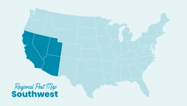 US Pest region map southwest