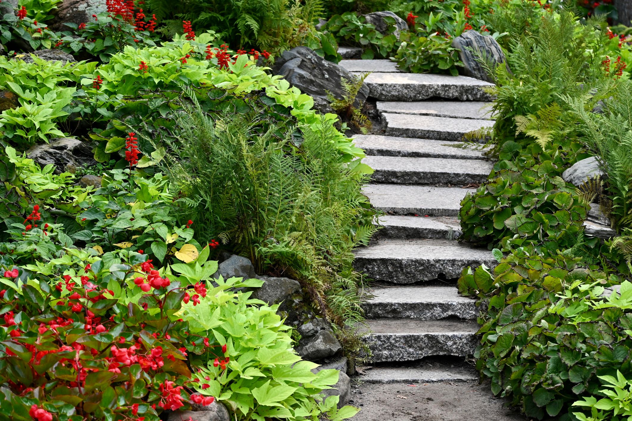 A beautiful Southeast garden