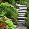 A beautiful Southeast garden