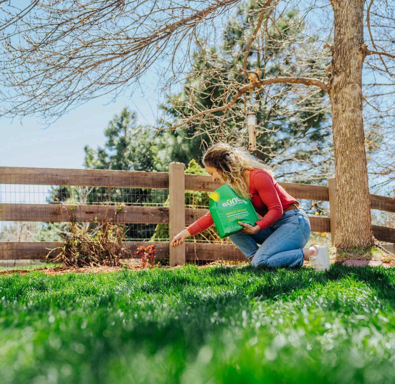 Turf Rescue Sunday Lawn Care