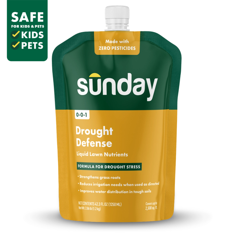 Sunday California Drought Defense Lawn Treatment 42.3 fl oz pouch with hose-end sprayer