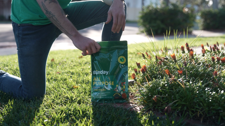 Sunday All-Purpose Plant Food Mix image outside in garden