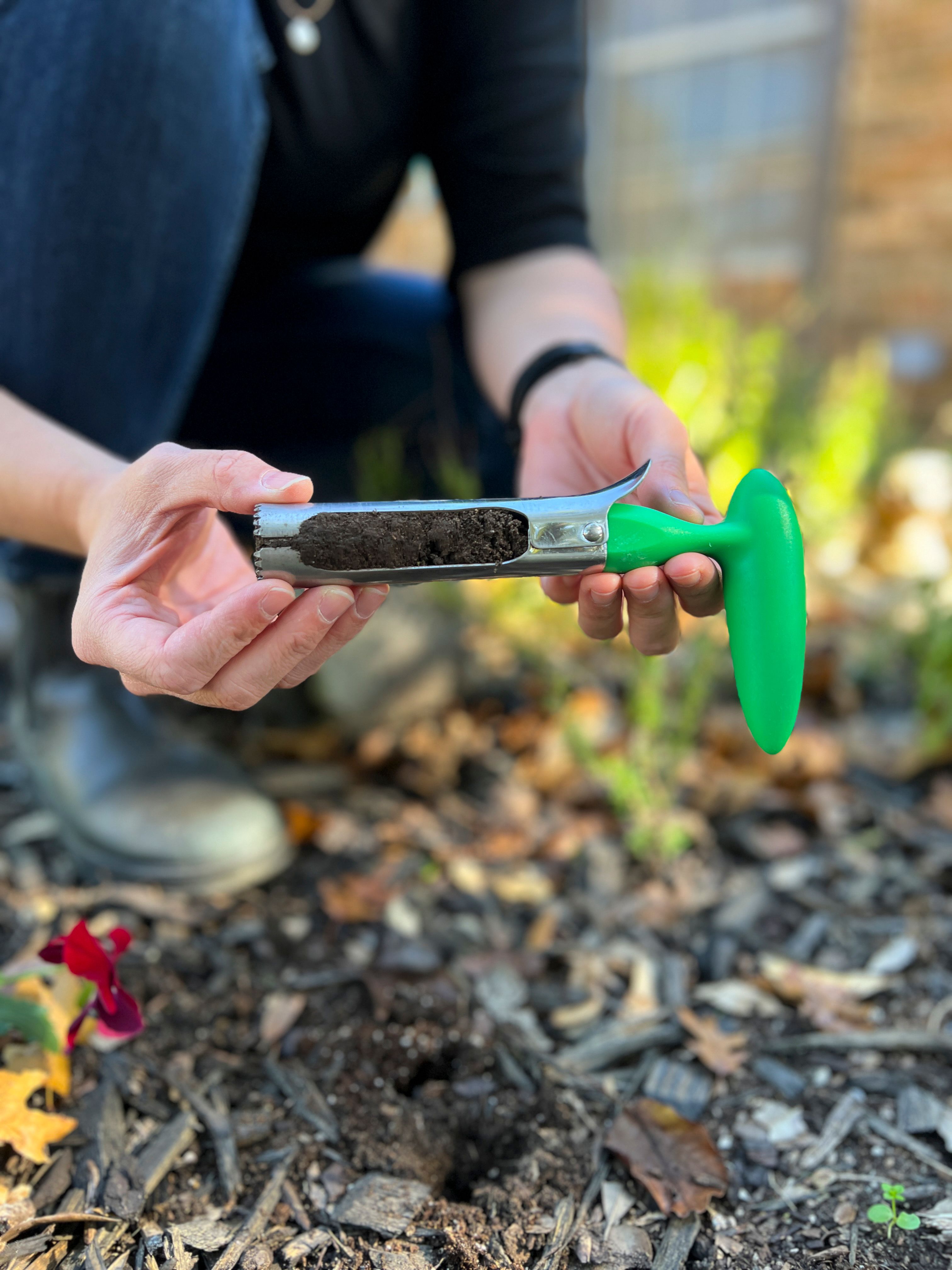 Sunday garden soil test coring tool and soil of a flower garden