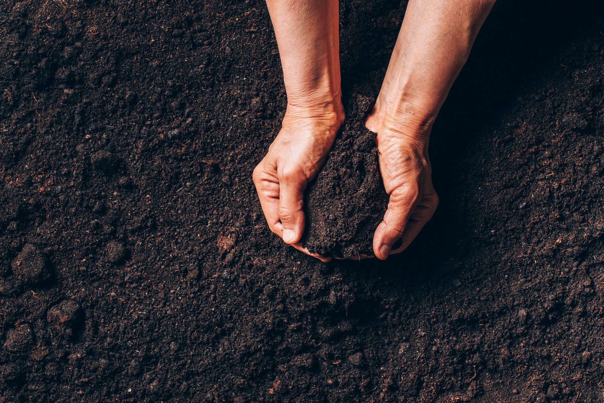 two hands holding soil