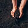 two hands holding soil