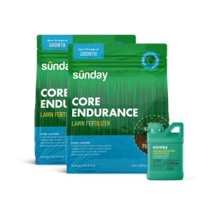 Summer Granular Fertilizer Kit includes: Core Endurance, Sunday Herbicide Pouch, Motorized Wand Sprayer, and Dandelion Doom Herbicide Concentrate Refill