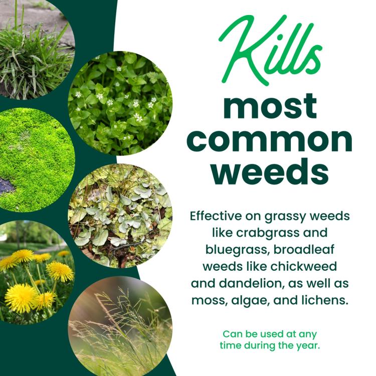 Kills most common weeds