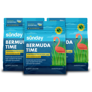 3 bags of Sunday Bermuda grass seed blend