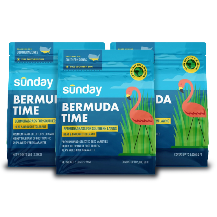 3 bags of Sunday Bermuda grass seed blend