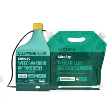 Sunday Weed Warrior weed-and-grass killer starter pack on a black background, showing a teal concentrate bottle with a yellow cap, a refill concentrate pouch, and a spray wand with hose.