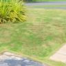 Brown patch fungus on a lawn