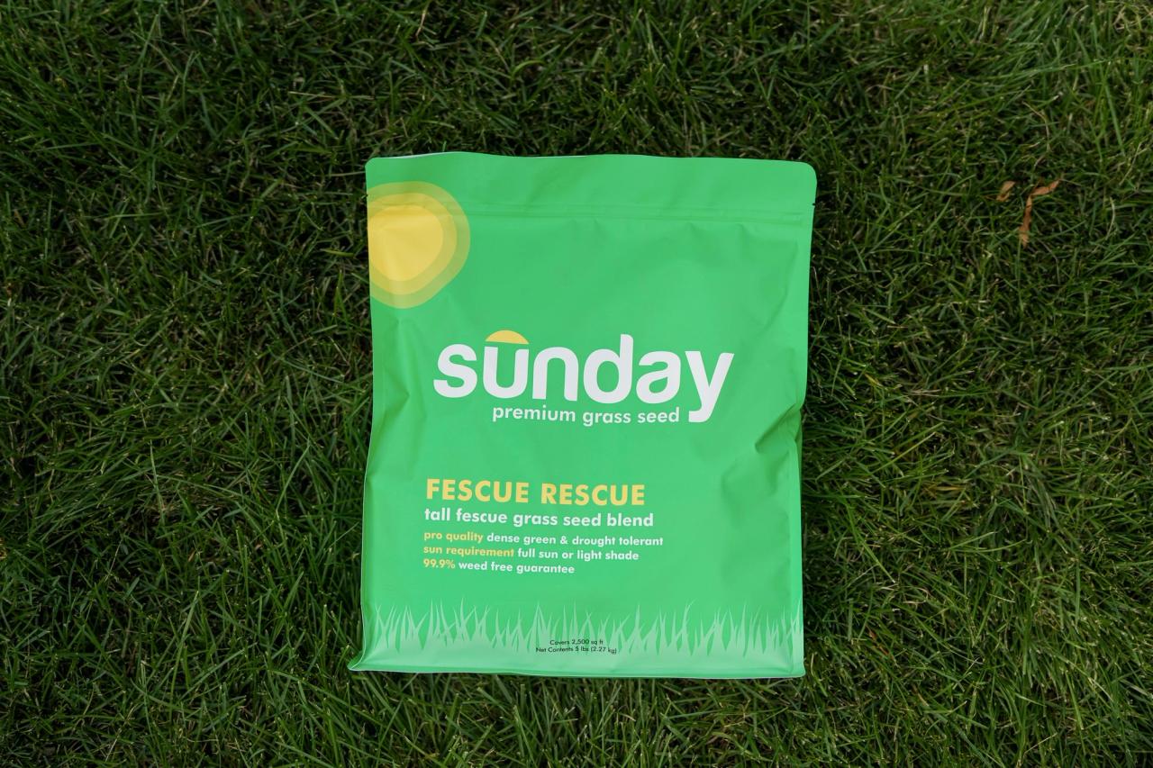 Fescue Rescue Grass Seed (2pack) Sunday Lawn Care