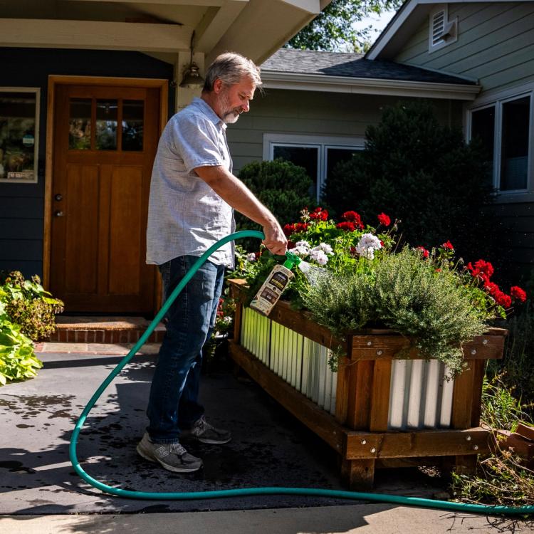 Man spraying Soil Boost on flower garden