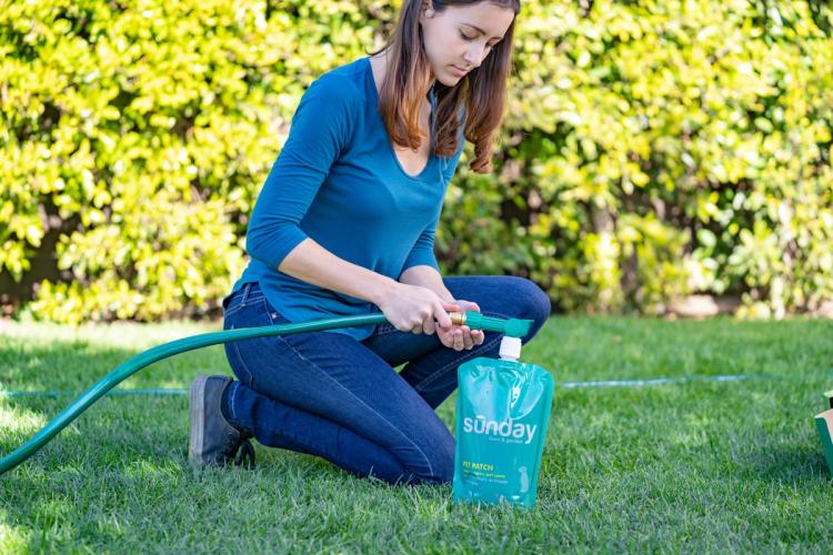Pet Patch Lawn Repair with hose
