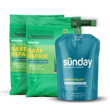 Fescue Grass Patch Kit