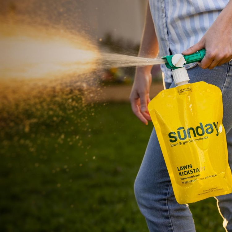 Man spraying Lawn Kickstart