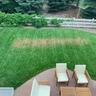 Rectangular brown patch on lawn from slip-and-slide