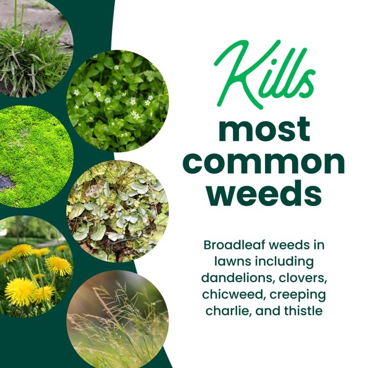 Kills common weeds